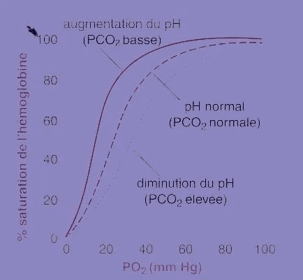 A graph showing the ph of an individual 's body.