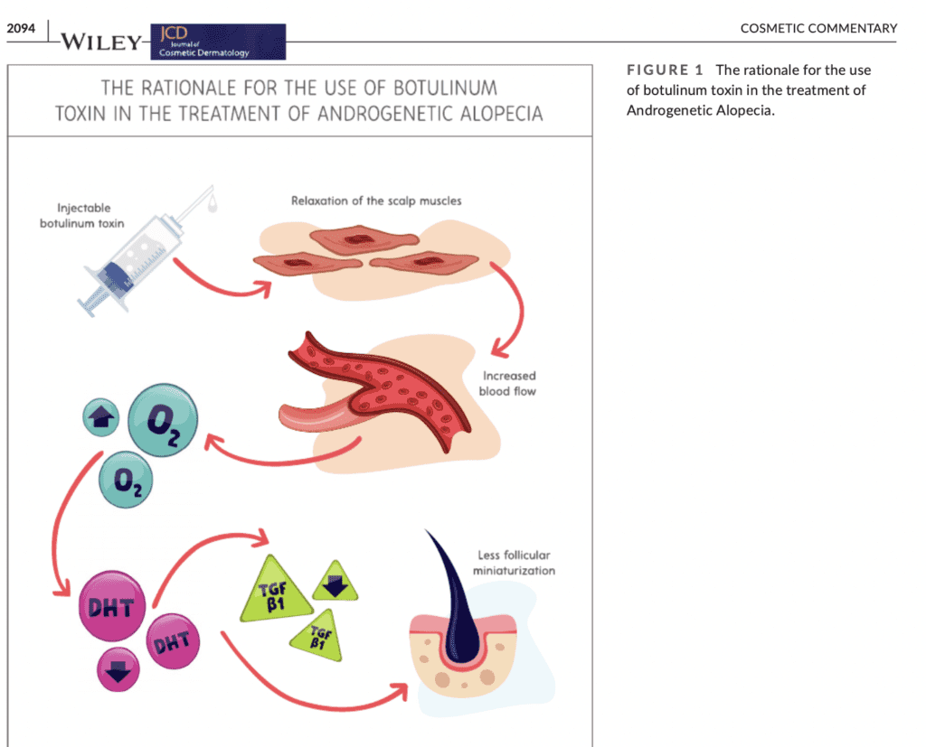 A diagram of the process of angiogenesis.