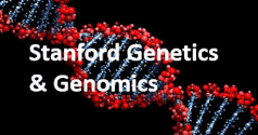 Stanford genetics and genomics logo.